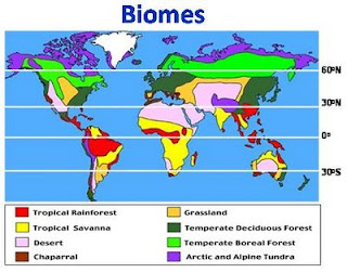 Biomes - Ms. Zimmerman's Website